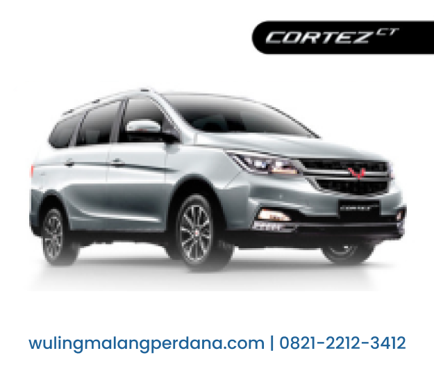 CORTEZ S LUX 6 MT (8 SEAT)